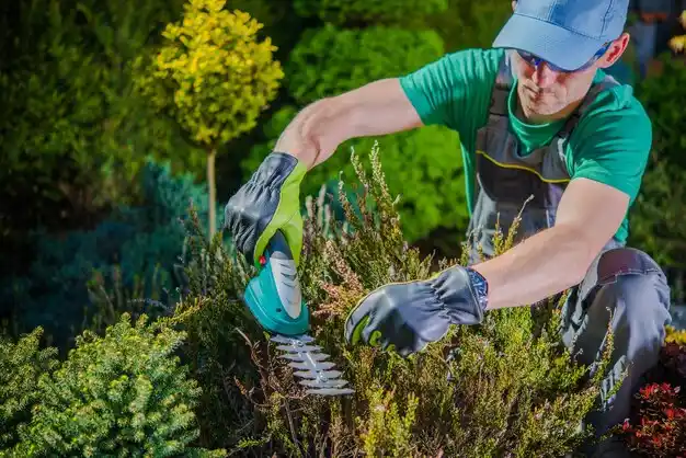 landscaping services Wahoo